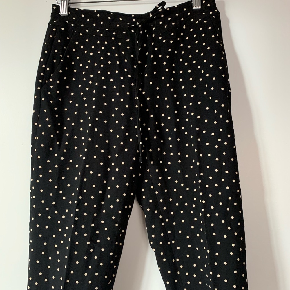 Ann Taylor Polka Dot high waisted Petite 0 pants